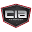 ciaautoplex.com