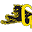 gattocycle.com Icon