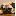 midatlanticpugrescue.org Icon