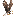record-eagle.com Icon